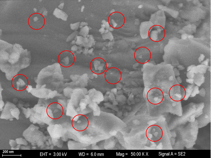 content_74fbb8ae8f312aa2b91e5ad9e90577c1.png content_74fbb8ae8f312aa2b91e5ad9e90577c1.png