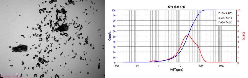 resize_content_7c727002a347a3aeb97994c3260c25a7.jpg resize_content_7c727002a347a3aeb97994c3260c25a7.jpg