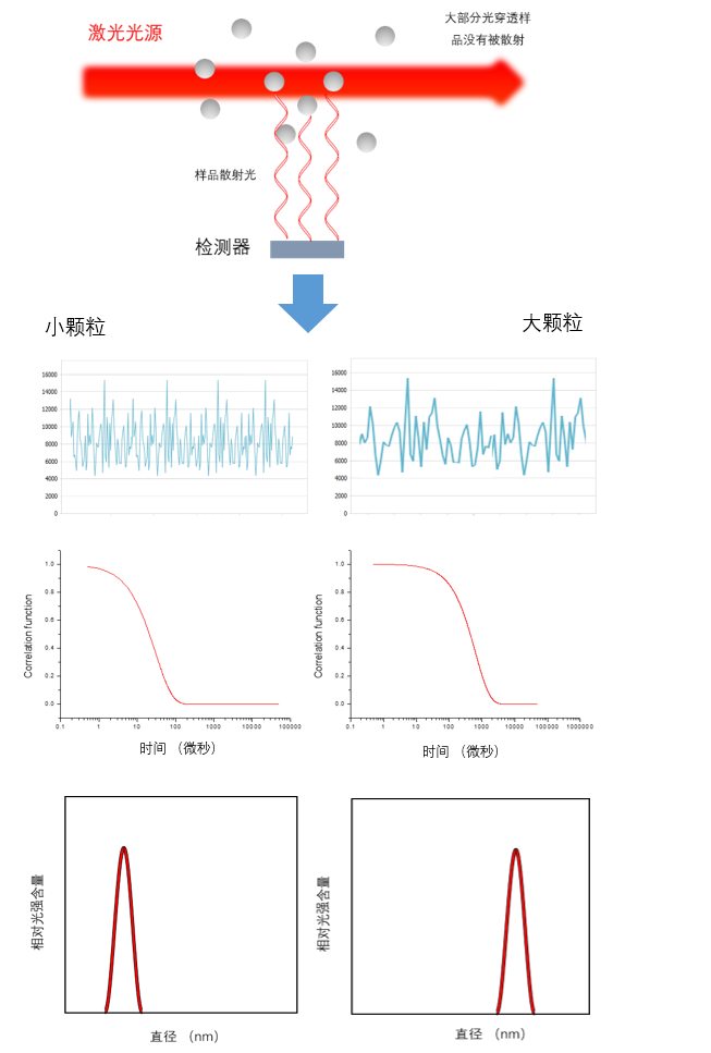 圖片 1.png 圖片 1.png