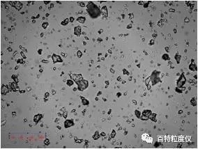 4.webp.jpg 4.webp.jpg