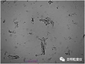 5.webp.jpg 5.webp.jpg