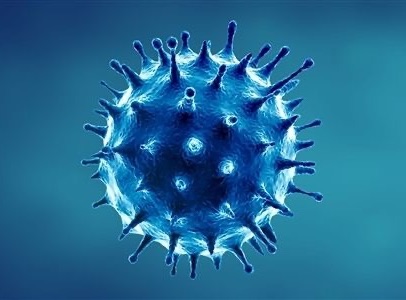 “新冠病毒與顆?！庇懻撝弧?dú)馊苣z對(duì)病毒傳播的影響與防控